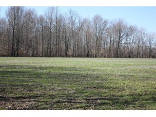 Property photo 7 - REAL ESTATE AUCTION - 366+/- ACRES OFFERED IN 5 TRACTS IN WESTERN JEFFERSON COUNTY, INDIANA
